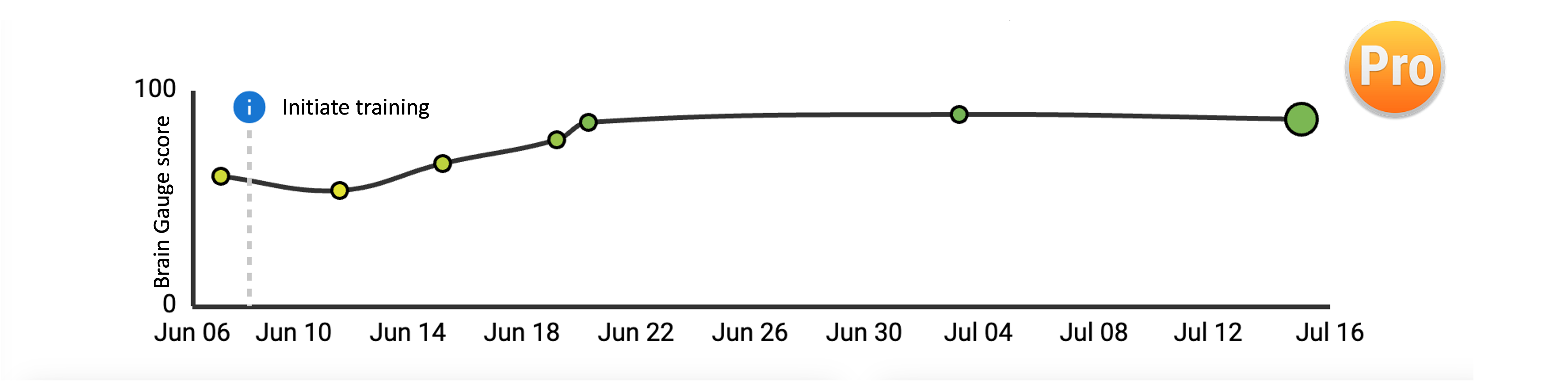 How to use the Brain Gauge training platform